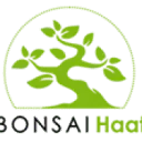 Bonsai Haat