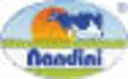 Shop Nandini