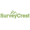 Susan Tancer Studios