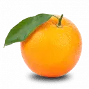Tangerine India