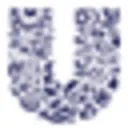 Unilever Professional India