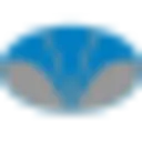 Vikas Group Vikas Group Coupon Codes {month} {year}