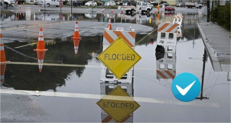 Shopclues alerts Online Sellers about delayed returns due to heavy rains & political unrest!